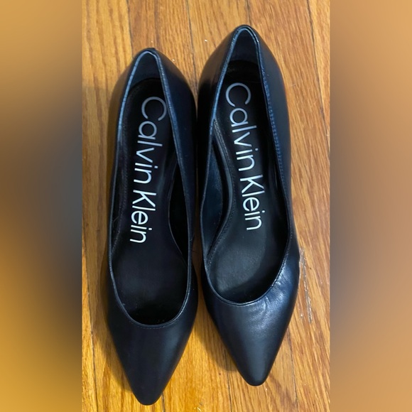 Calvin Klein Pointy Toe Pumps with Gold Hardware - Picture 3 of 4